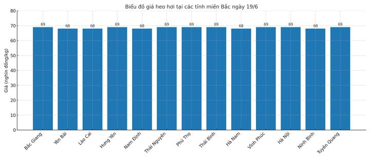 Biểu đồ giá heo hơi tại các tỉnh miền Bắc ngày 19/6.