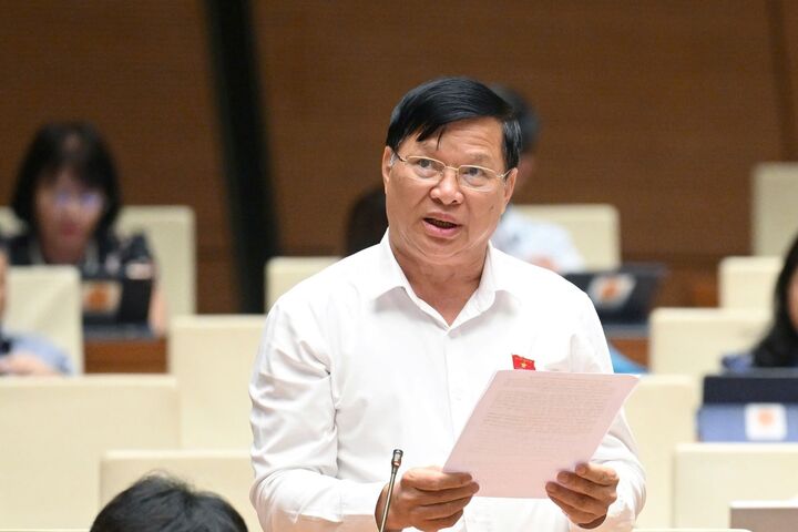 Đại biểu Trần Văn Tiến - Đoàn Vĩnh Phúc. Ảnh: QH