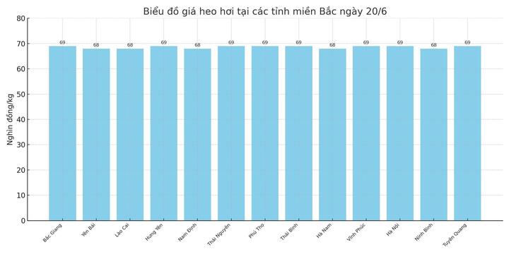Biểu đồ giá heo hơi tại các tỉnh miền Bắc ngày 20/6.