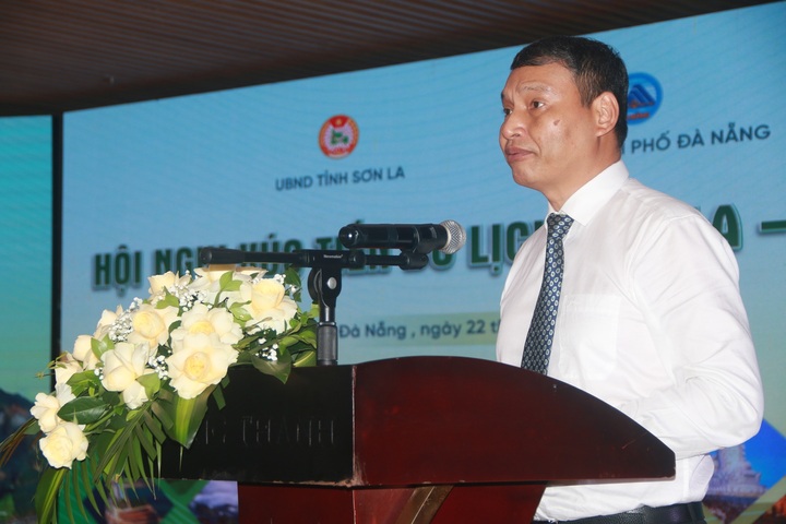 Ông Hồ Kỳ Minh - Phó Chủ tịch UBND TP. Đà Nẵng - phát biểu tại hội nghị. Ảnh: Nhật Huy