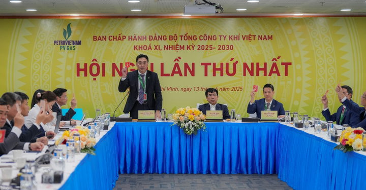 Ban chấp hành Đảng bộ nhiệm kỳ mới tham gia biểu quyết tại Hội nghị lần thứ Nhất (Ảnh: PV GAS)