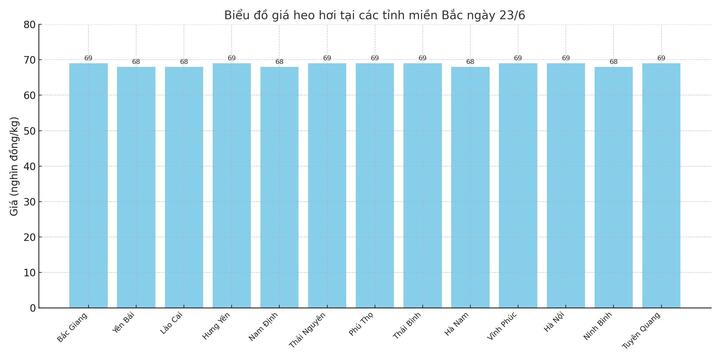 Biểu đồ giá heo hơi tại các tỉnh miền Bắc ngày 23/6.