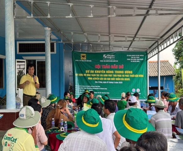 Nhà khoa học thăm đồng, cán bộ kỹ thuật thăm mô hình và tập huấn kỹ thuật cho bà con nông dân