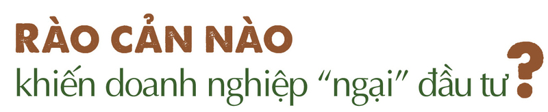 Longform | Chợ vùng cao: Cần cơ chế ‘mở lối’ cho sinh kế bền vững - 6