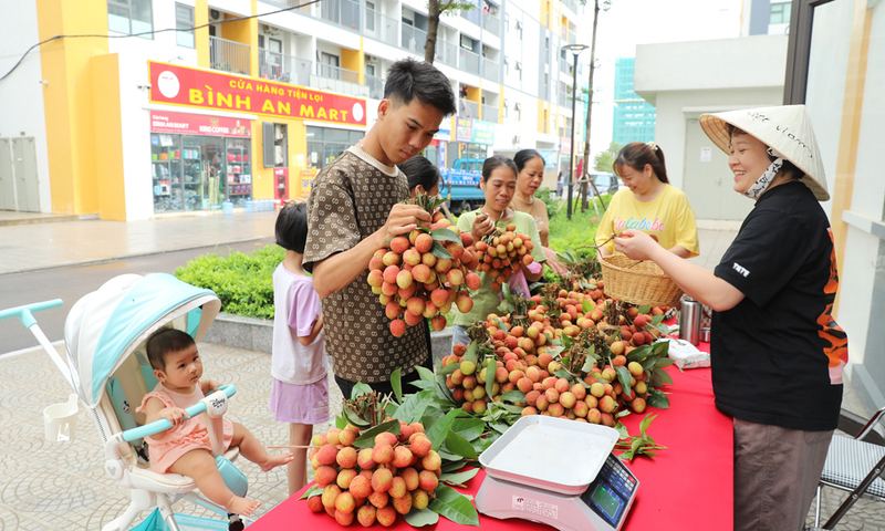 Tỉnh Bắc Giang tổ chức nhiều điểm bán vải thiều ở trong và ngoài tỉnh. Ảnh: Dương Thùy