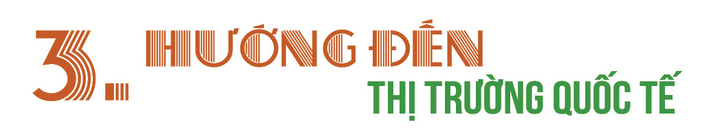 Longform | ‘Bật sóng’ vùng chè, Thái Nguyên kiến tạo bản đồ nông sản số - 8