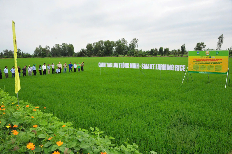 Công ty CP Phân bón Bình Điền (BFC) luôn trăn trở tìm kiếm giải pháp công nghệ sinh học/sinh học cho đổi mới công nghệ, phát triển sản phẩm mới thân thiện với môi trường. Ảnh T.H