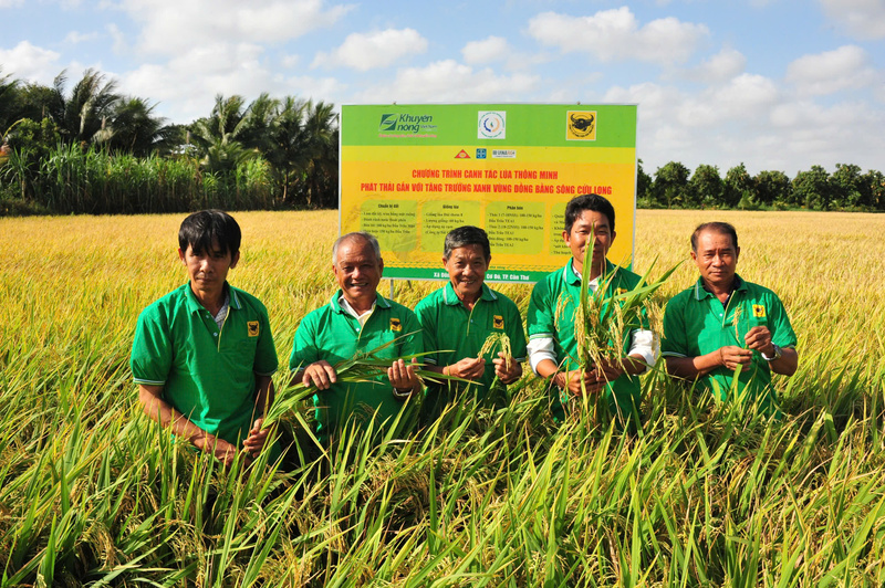 BFC tiếp tục hợp tác với IRRI phát triển phân bón thông minh, thân thiện với khí hậu. Ảnh T.H