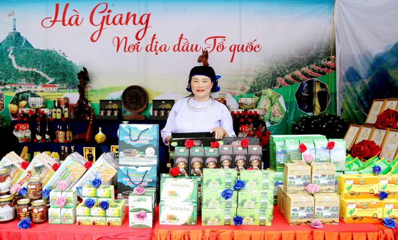 Nhờ nguồn hỗ trợ từ Chương trình 1719, nhiều mô hình, tổ hợp tác liên kết theo chuỗi sản xuất tiêu thụ sản phẩm đã giúp bà con nâng cao thu nhập