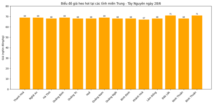 Biểu đồ giá heo hơi tại các tỉnh miền Trung - Tây Nguyên ngày 28/6.