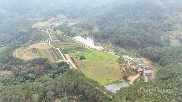 Xã Tà Nung, TP. Đà Lạt có diện tích tự nhiên 45,92 km2, dân số 5.605 người. Ảnh minh họa: Duy Tín