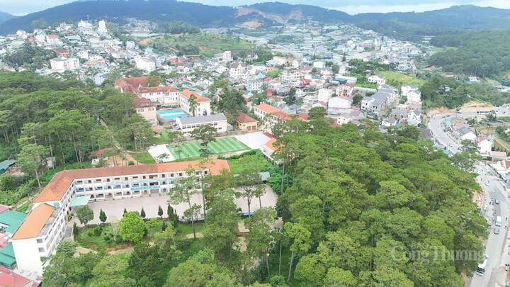 Phường 5, TP. Đà Lạt có diện tích tự nhiên 33,31 km2, dân số 18.179 người. Ảnh minh họa: Duy Tín
