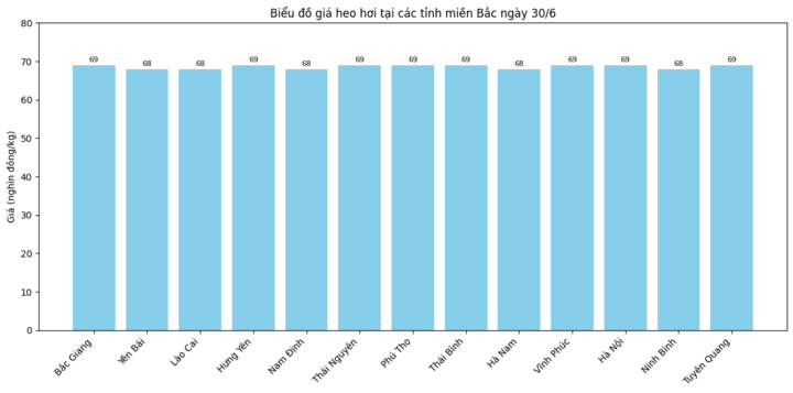 Biểu đồ giá heo hơi tại các tỉnh miền Bắc ngày 30/6.