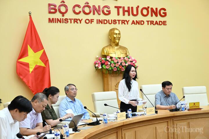 Bà Lê Hoàng Oanh, Cục trưởng Cục Thương mại điện tử và Kinh tế số, Bộ Công Thương báo cáo tiến độ, nội dung tóm tắt Dự thảo Luật Thương mại điện tử. Ảnh: Cấn Dũng