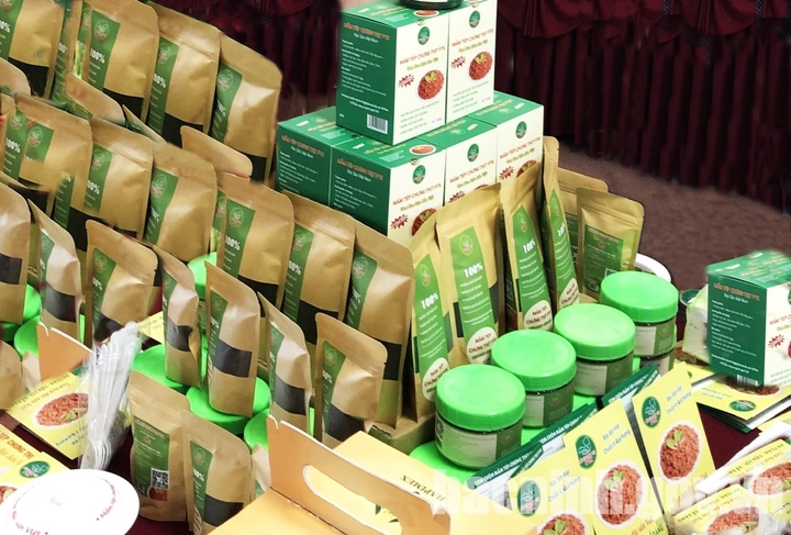 Cây tỏi tía truyền thống tại Bắc Ninh được quan tâm, trở thành mặt hàng chủ lực. Ảnh: Bacninh.gov