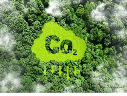 EU đề xuất sử dụng tín chỉ carbon quốc tế từ năm 2036 nhằm hỗ trợ mục tiêu giảm 90% khí thải ròng vào năm 2040. Ảnh minh họa