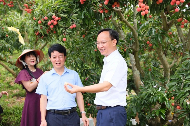 Hình ảnh một lãnh đạo tỉnh livestream bán nông sản đã thể hiện một chính quyền vì dân, cho thấy năng lực thích ứng của lãnh đạo địa phương trong kỷ nguyên số. Ảnh: PT