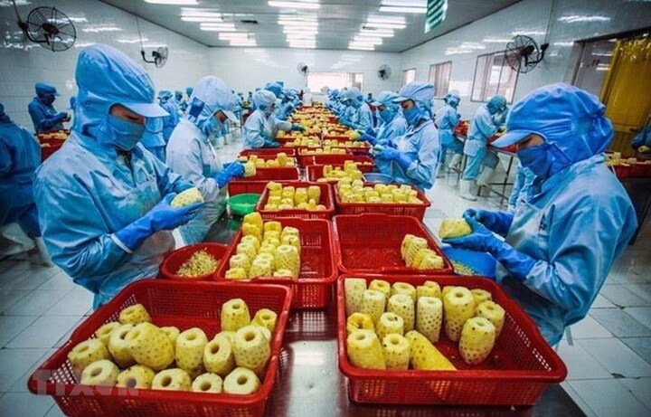 Các nước ASEAN đang tăng cường yêu cầu cao đối với chất lượng sản phẩm nhập khẩu, nhất là các mặt hàng nông, lâm, thuỷ sản, gây khó khăn cho doanh nghiệp tiếp cận thị trường. Ảnh minh hoạ