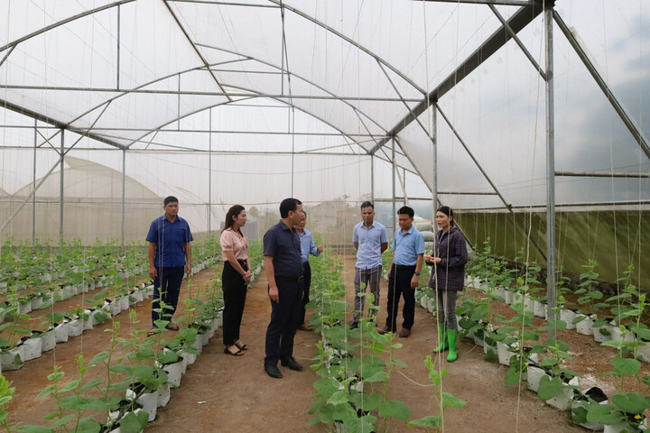 Thanh Hóa tạo điều kiện để người yếu thế, dễ bị tổn thương, có hoàn cảnh khó khăn được tham gia thực hiện mô hình, dự án giảm nghèo. Ảnh minh họa