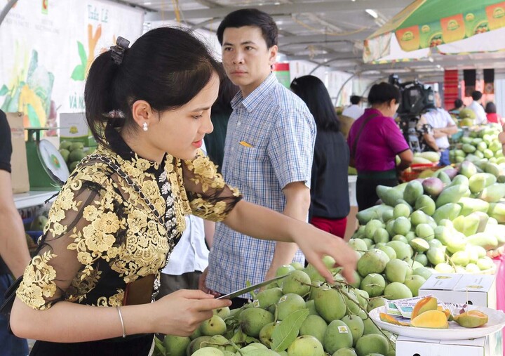 Xoài là một trong những sản phẩm thế mạnh của bà con dân tộc thiểu số Sơn La (Ảnh: Mai Phương)