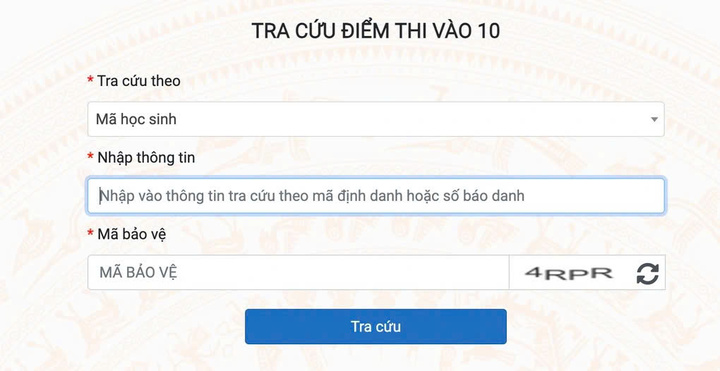 Thí sinh, phụ huynh có thể truy cập theo hướng dẫn trên để xem điểm thi. Ảnh: Chụp màn hình