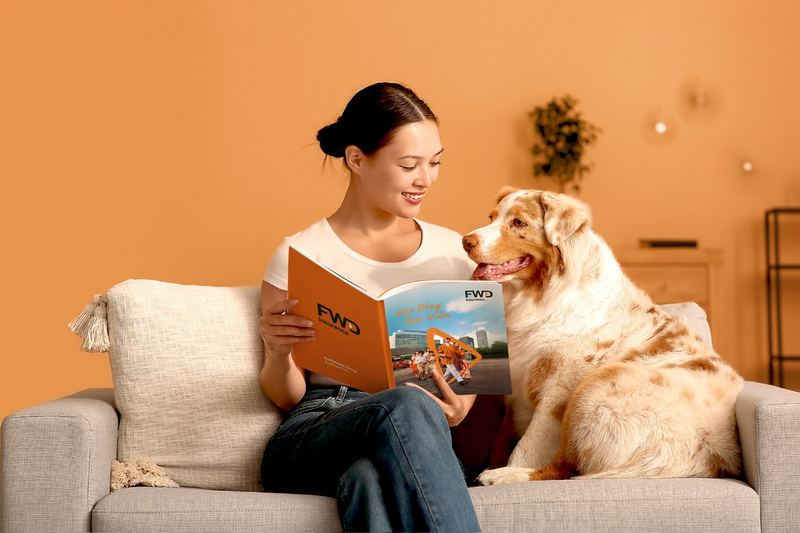 Thiết kế hiện đại, sinh động, rõ ràng trong hợp đồng giúp khách hàng thoải mái hơn khi tìm hiểu thông tin bảo hiểm.