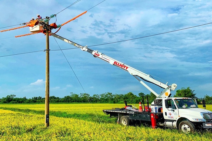 Bảo trì bảo dưỡng hệ thống lưới điện