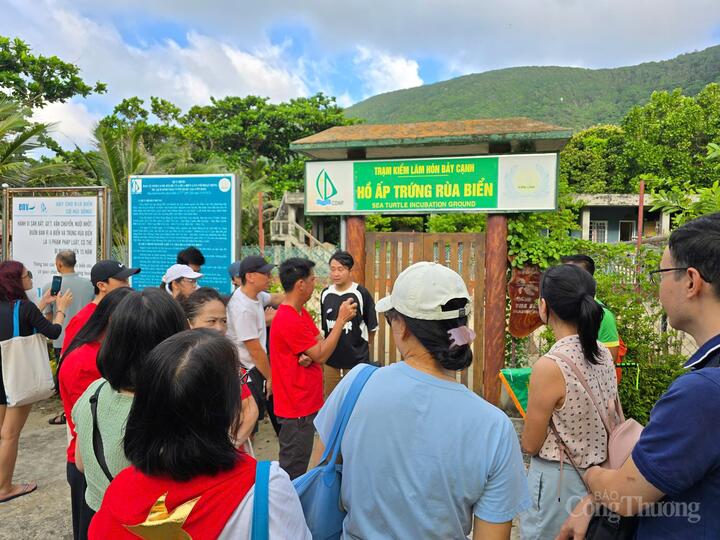 Khách du lịch thăm quan, tìm hiểu công tác bảo tồn thiên nhiên tại Hòn Bảy Cạnh - đặc khu Côn Đảo