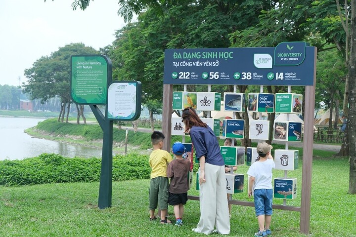 Bảng đa dạng sinh học ở công viên Yên Sở, Gamuda City