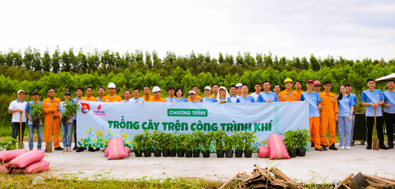 Tập thể CBCNV PV GAS CA MAU tham gia chương trình trồng 500 cây hoàng yến (Ảnh: PV GAS)