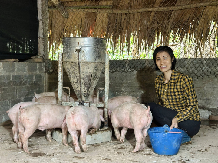 Chương trình Ước mơ xanh trao tặng mô hình chăn nuôi cho chị Nguyễn Thị Tư - Thái Nguyên