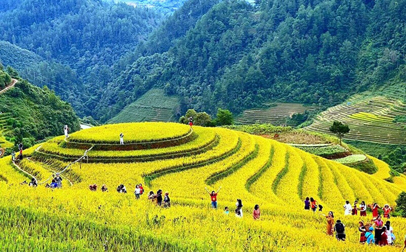Điểm du lịch Mù Cang Chải nổi tiếng với những thửa rượng bậc thang và các mùa hoa. Ảnh: DLMCC