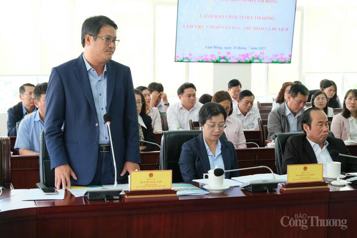 Ông Huỳnh Ngọc Tâm, Phó Giám đốc Sở Văn hoá, Thể thao và Du lịch tỉnh tham gia ý kiến tại buổi làm việc. Ảnh: Lê Sơn