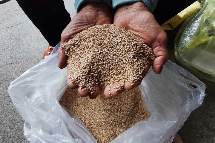 Nguyên liệu phổ biến mà người dân đem ép lấy dầu là hạt lạc. Tuy nhiên, nhiều gia đình có điều kiện dùng hạt vừng để ép lấy dầu ăn.