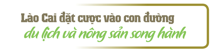 Longform | Du lịch ‘đánh thức’ hương rừng trên lưng núi Lào Cai - 1