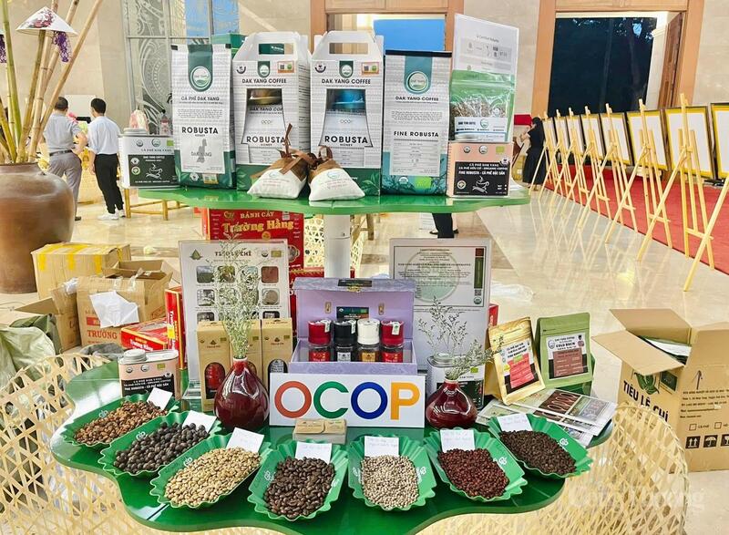 Cà phê Đak Yang Fine Robusta đạt điểm số 87,5 trong bảng xếp hạng của Viện chất lượng Cà phê (CQI)