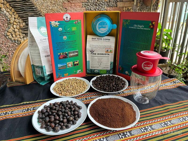 Các sản phẩm cà phê Đak Yang Fine Robusta và cà phê Đak Yang Honey