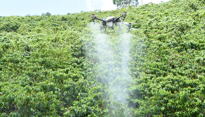 Việc sử dụng drone giúp tiết kiệm chi phí cho người nông dân vùng núi Quảng Ngãi. Ảnh: Thanh Tùng.