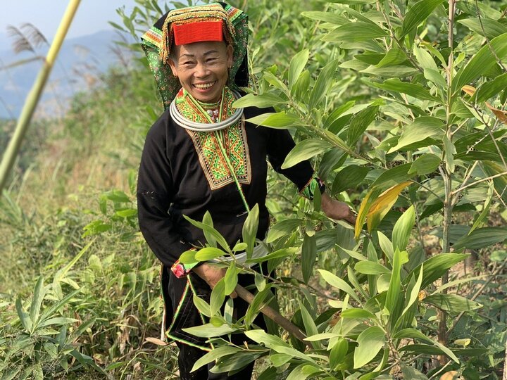 Tỷ lệ giảm nghèo trên địa bản tỉnh Lạng Sơn giảm mạnh trong những năm gần đây. Ảnh minh hoạ