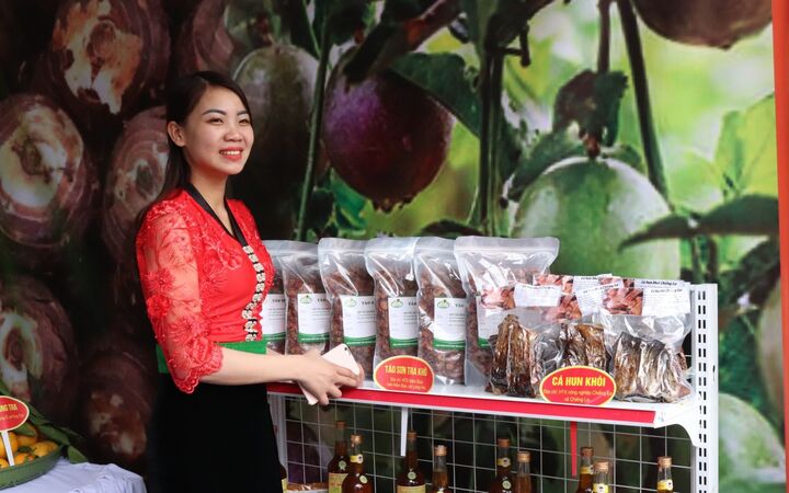 Hiện toàn tỉnh Sơn La có 241 sản phẩm được công nhận từ 3 sao trở lên. Ảnh minh hoạ