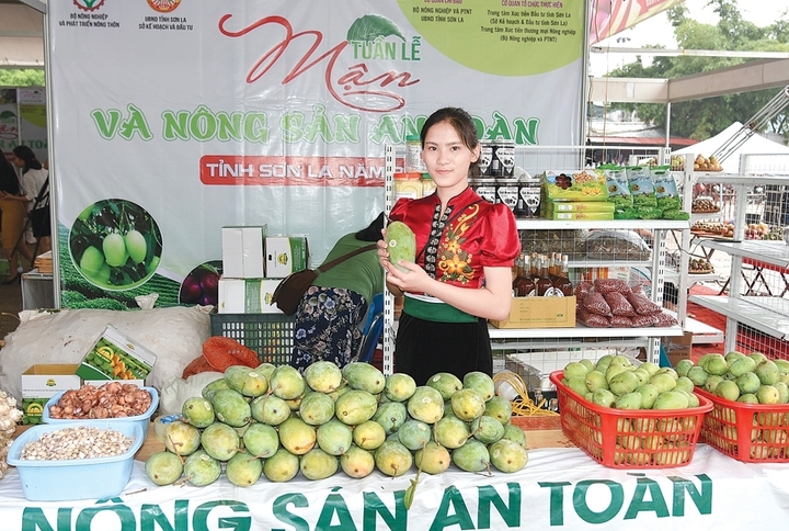 Sản phẩm OCOP Sơn La đang từng bước chinh phục người tiêu dùng. Ảnh minh hoạ