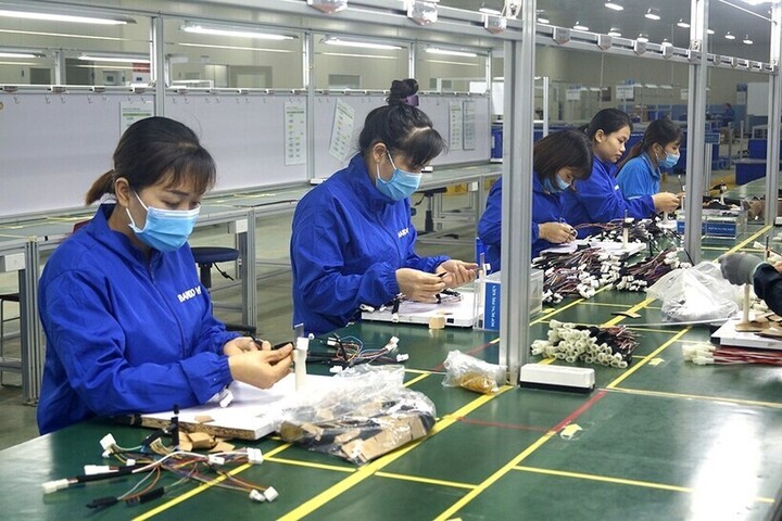 Số lượng doanh nghiệp thành lập mới ở Thanh Hóa đang tăng nhờ môi trường đầu tư, kinh doanh cải thiện. Ảnh: Việt Anh