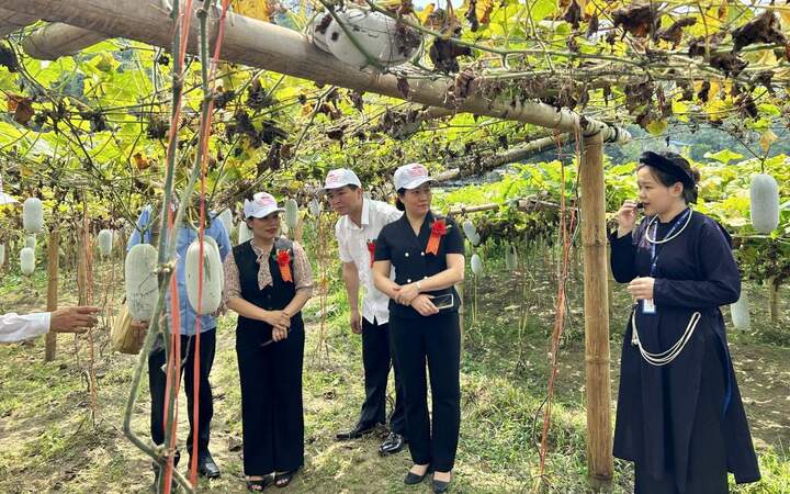 Hướng tới du lịch vùng hồ Ba Bể