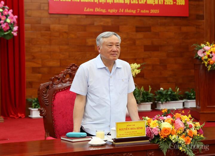 Phó Thủ tướng Thường trực Chính phủ Nguyễn Hòa Bình phát biểu chỉ đạo