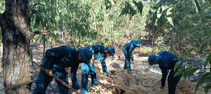 Việc tiêu hủy lợn bị bệnh đúng quy trình kỹ thuật, đảm bảo môi trường an toàn, không để tồn lưu mầm bệnh. Ảnh: Nguyễn Dương