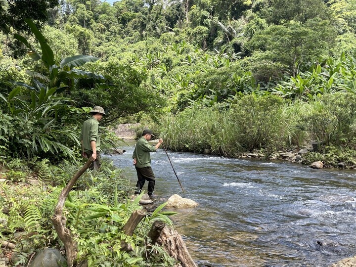 Nhân viên Khu Dự trữ thiên nhiên Động Châu – Khe Nước Trong trong một chuyến kiểm tra rừng (Ảnh: Thành Long)