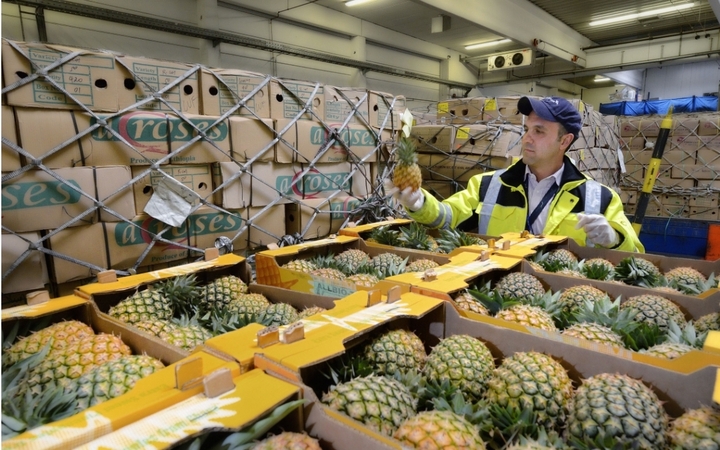 Trong bối cảnh yêu cầu phát triển bền vững ngày càng gia tăng, ngành trái cây và rau quả tươi đang chứng kiến những thay đổi mạnh mẽ trong phương thức vận chuyển