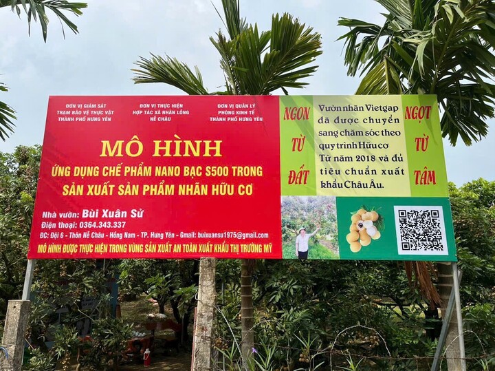 Anh Bùi Xuân Sử dựng thương hiệu nhãn hữu cơ giúp gia đình và bà con thoát nghèo. Ảnh: P.C