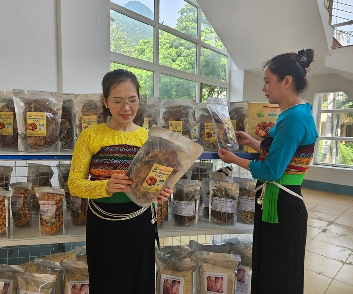 Măng rừng trở thành sản phẩm OCOP (Ảnh: Quỳnh Trâm)