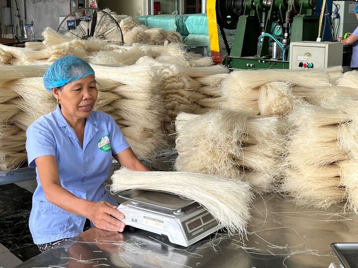 Hoạt động sản xuất mì gạo tại Hợp tác xã Mì gạo Hùng Lô (tỉnh Phú Thọ). Ảnh: Thu Hương